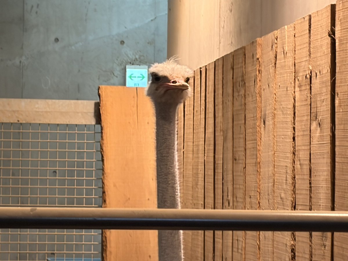 ´⌯ ̫⌯` tweet media