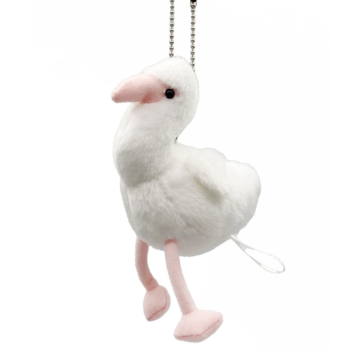 アドベンチャーワールド 公式 tweet media