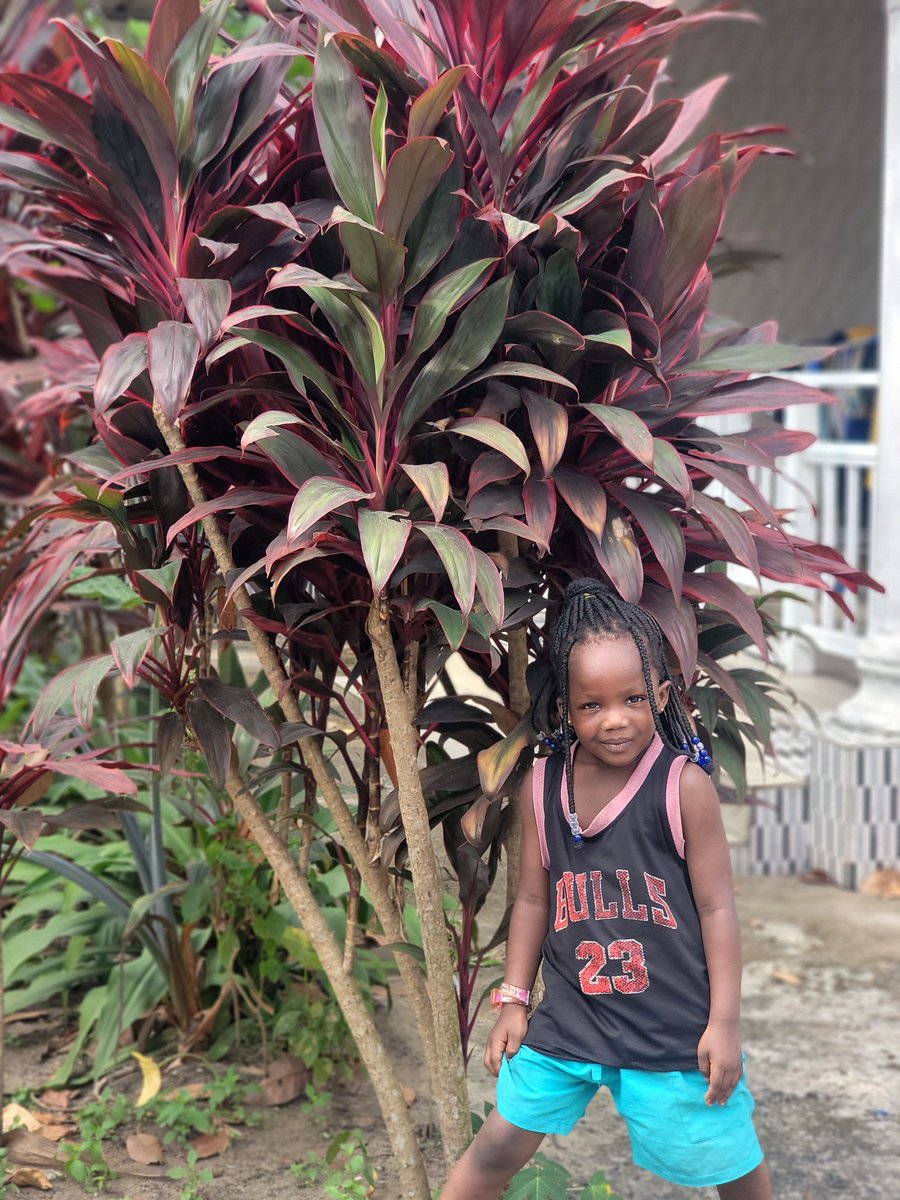 YOUR BOYFRIEND❤️ tweet media