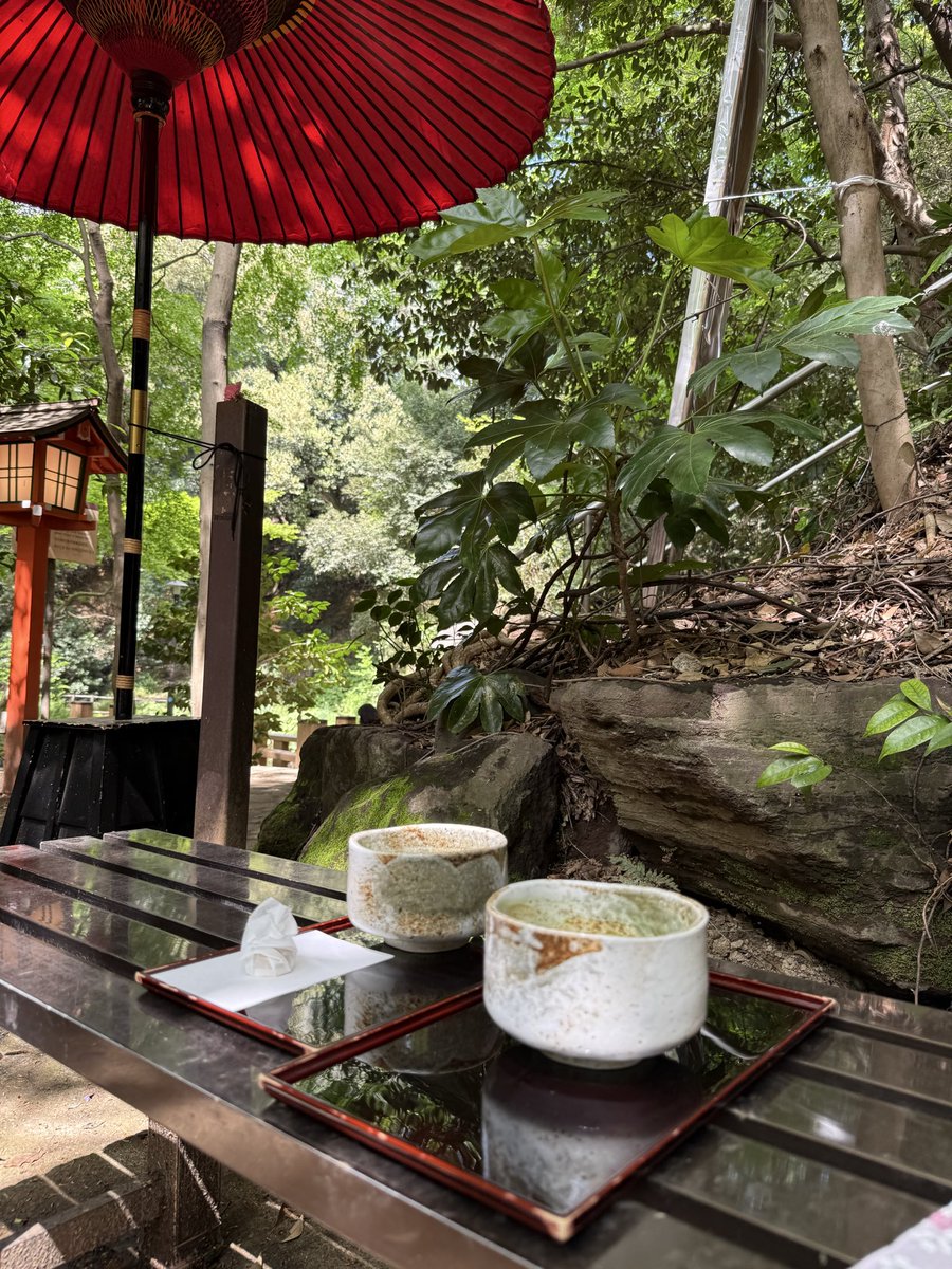 cjd_arisa's tweet image. お散歩が気持ちいい季節だね🍃😊

等々力渓谷入れるようになってた！

tops @ZARA 
pants @Jumpman23 
shoes @StellaMcCartney 

#cjd_arisa #ootd #春コーデ #等々力渓谷