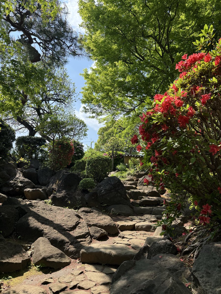 cjd_arisa's tweet image. お散歩が気持ちいい季節だね🍃😊

等々力渓谷入れるようになってた！

tops @ZARA 
pants @Jumpman23 
shoes @StellaMcCartney 

#cjd_arisa #ootd #春コーデ #等々力渓谷