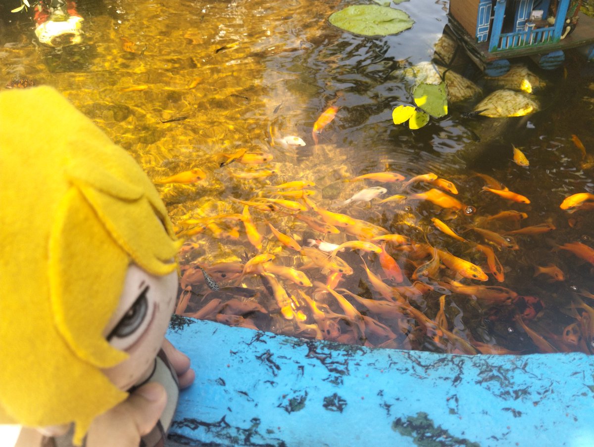 。*✧Chanh đá 10k✧⁠*🍂🍄 tweet media