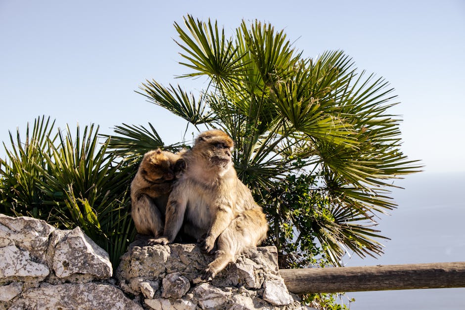 Michael Henry tweet media