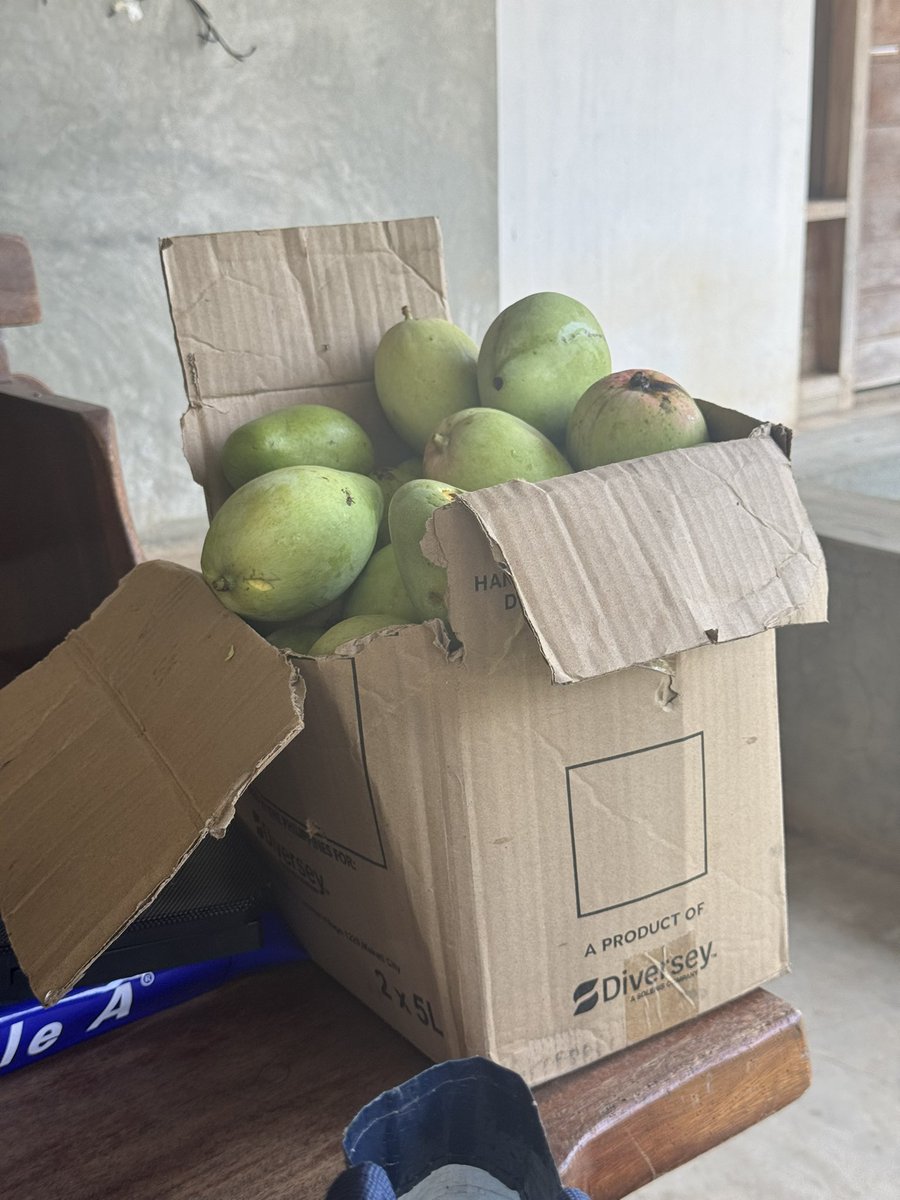 Anna Lee Fos-Tuvera tweet media