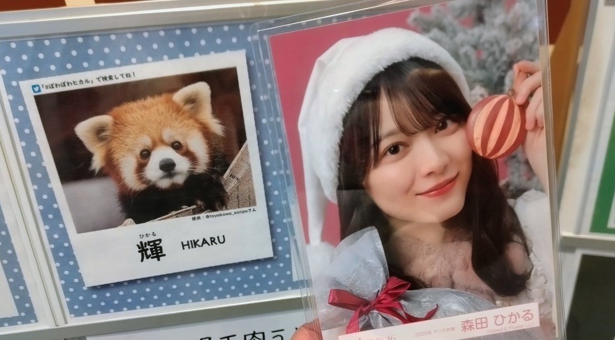 R65564681's tweet photo. ひかるちゃんとひかるくん！ https://t.co/TROD3S39J8