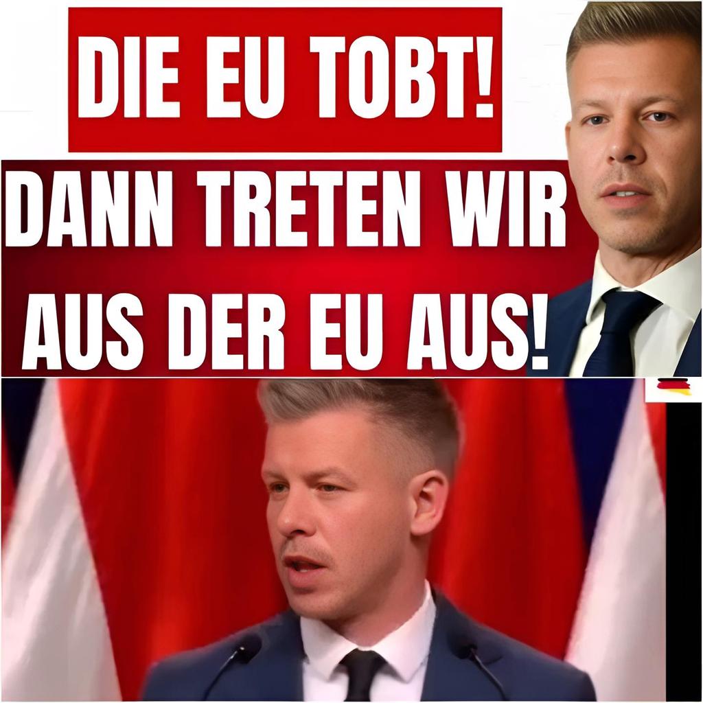 Pik-Ass 🇩🇪 tweet media