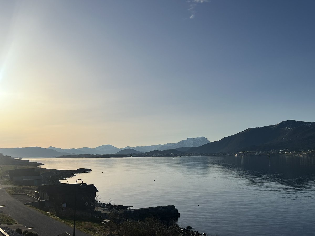 Rachel in Norway tweet media