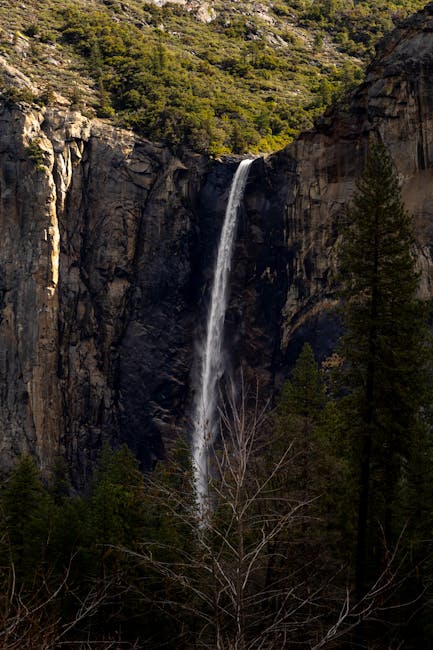 Jerry Rodriguez tweet media