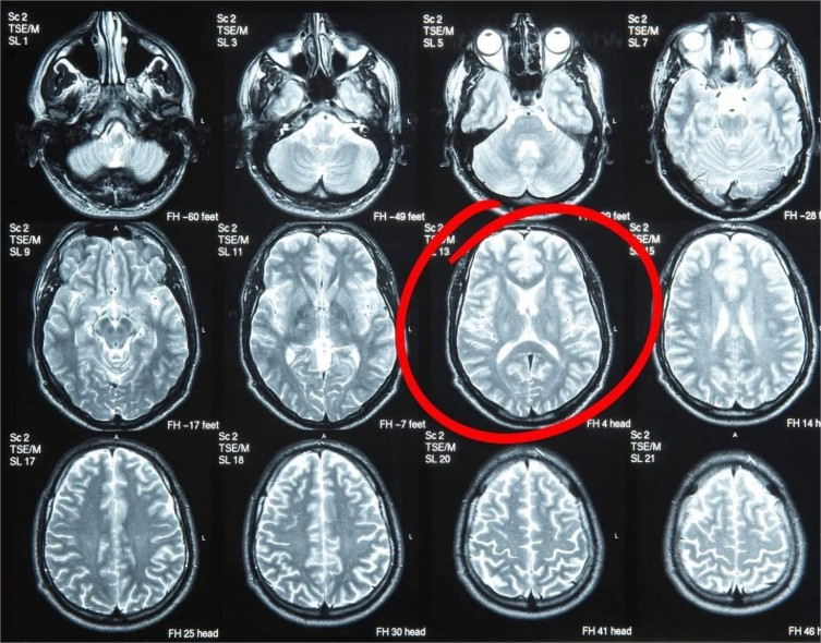 Prof. Dr. Veysi Ceri tweet media