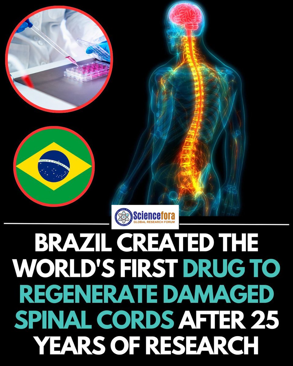 science_fora's tweet photo. After 25 years of dedicated research, Brazil has achieved a groundbreaking medical milestone by developing the world’s first drug designed to regenerate damaged spinal cords.
#Sciencefora #MedicalBreakthrough #SpinalCordInjury #Neuroscience https://t.co/HShQvuNAYW