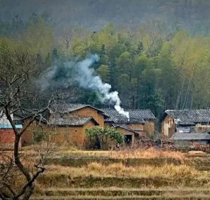 Emily Ann Rogers tweet media