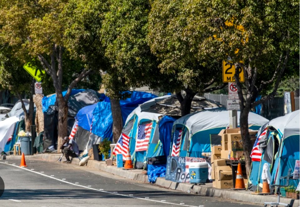 Krystal Karas #MAGA4Palestine #TrumpsNotMAGA tweet media