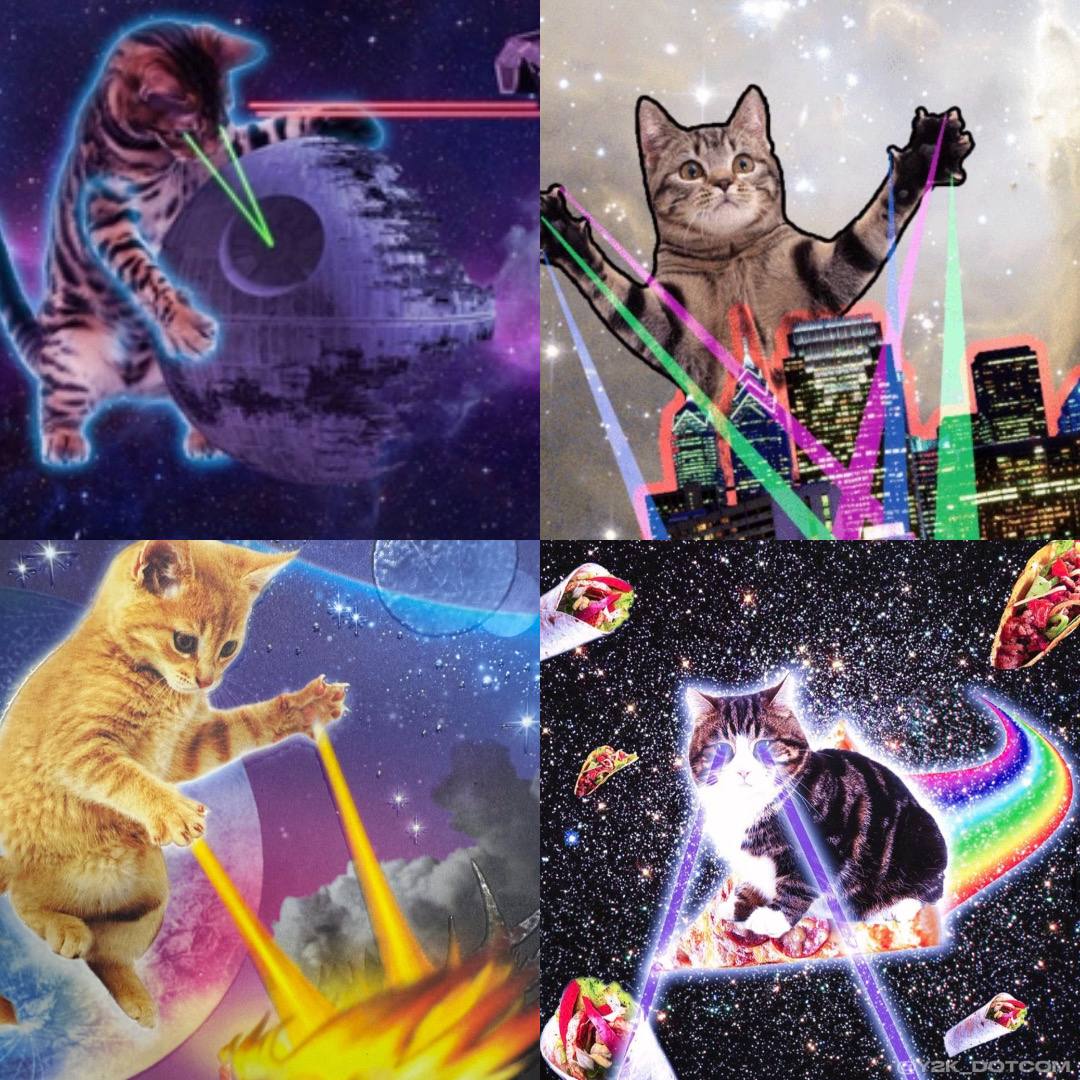 Dotcom📟🌐 tweet media