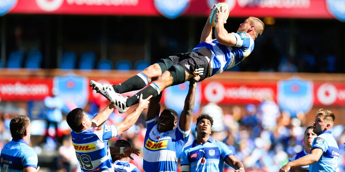 Springboks tweet media