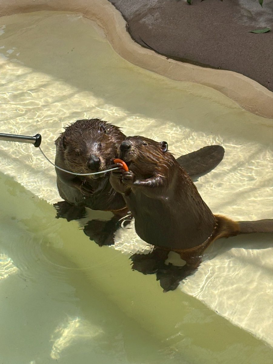 ○●○行方市観光協会○●○ tweet media