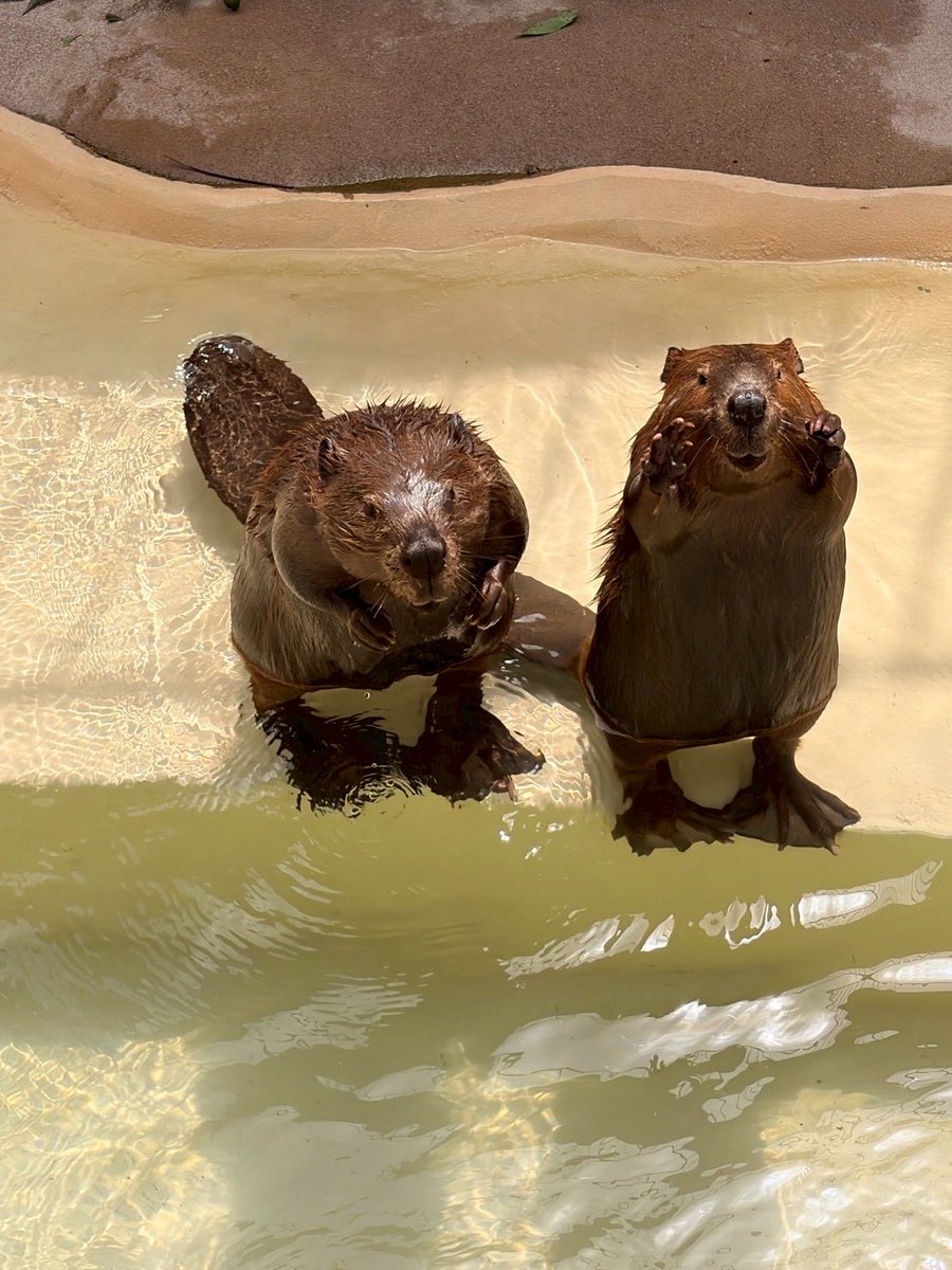 ○●○行方市観光協会○●○ tweet media