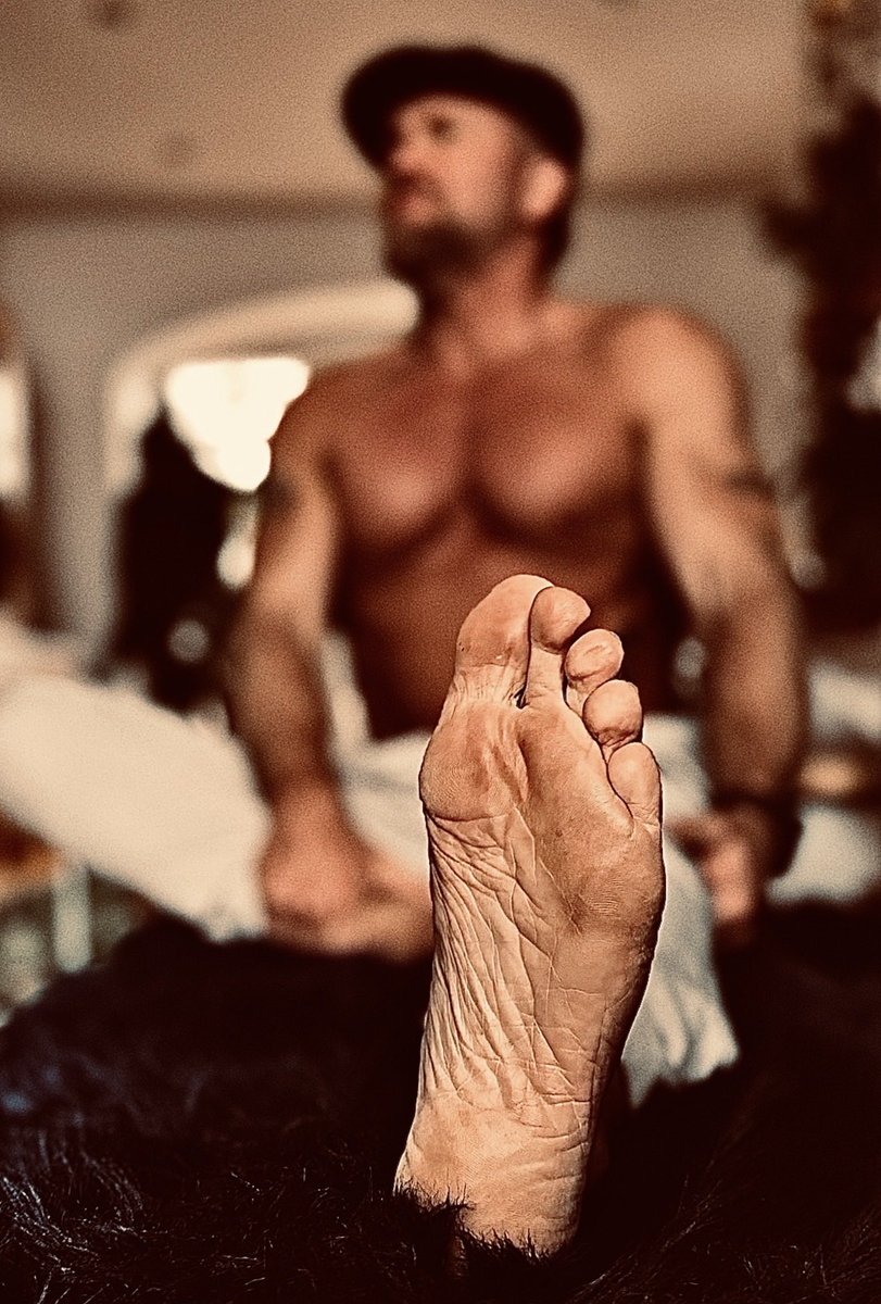 Master Windsor tweet media