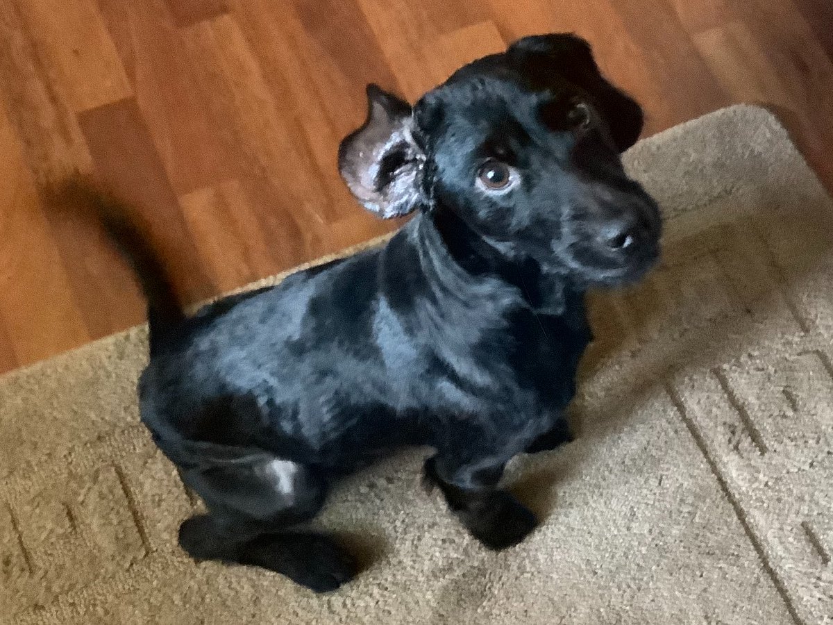 Harry 🇬🇧 tweet media