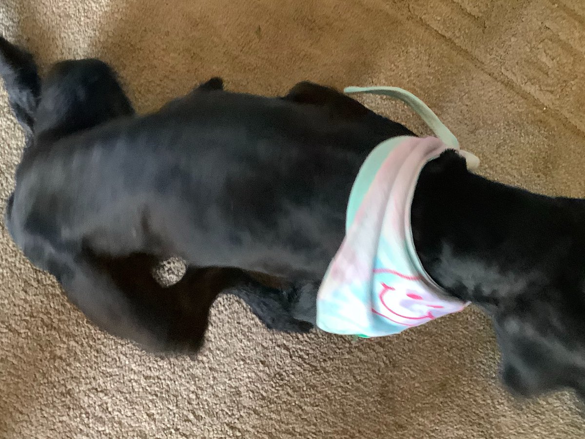 Harry 🇬🇧 tweet media