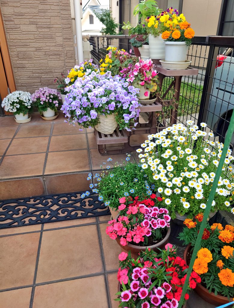 くまきち🐻サザン&V推し tweet media