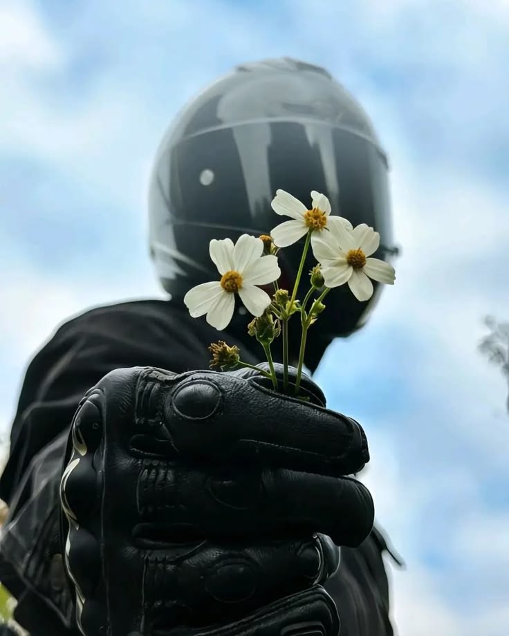 Gm guys, let's start something wonderful.
Gm back is always an alpha.