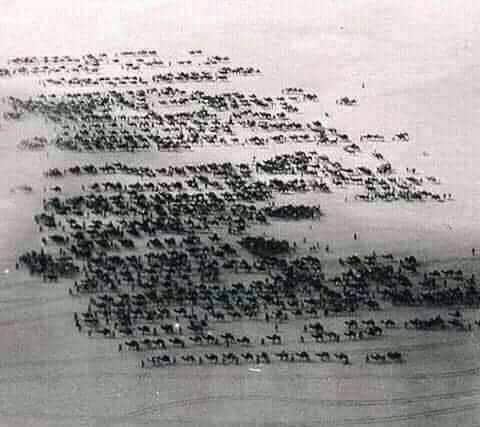 KSA Expats tweet media