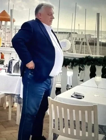 Dgf Brug tweet media