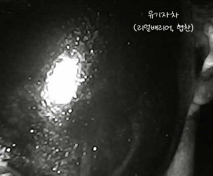 djid519241's tweet photo. #뷰덕실험실 선크림에 미스트 뿌리면 어떻게될까? (#협찬 제품 사용)

유기자차(리얼배리어), 내수성 혼합자차(알리 뷰티젤)로 실험해봤어요
미스트: 키위글로우

선크림 10분 이상 잘 말리고 -> 미스트만 뿌렸을 때는 걱정과는 달리 녹아내리지 않고 선크림이 잘 남아있었습니다! https://t.co/prKi8aQvDt