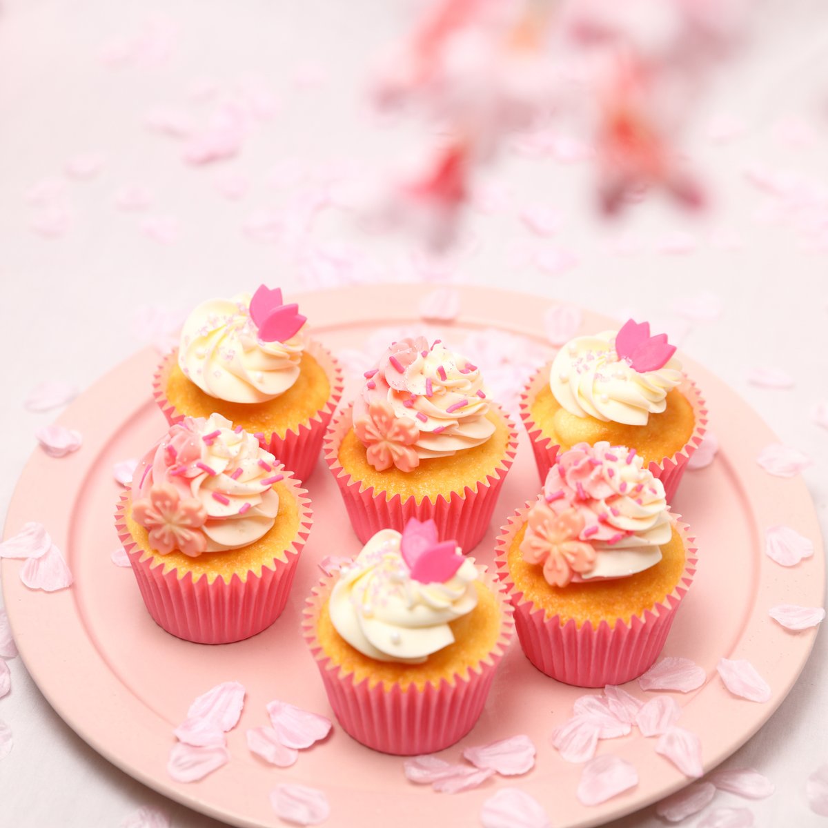 ㊗️桜の開花🧁🌸
x.com/i/trending/204…