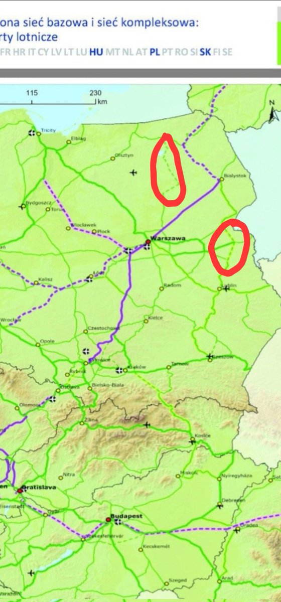 patryk wild tweet media