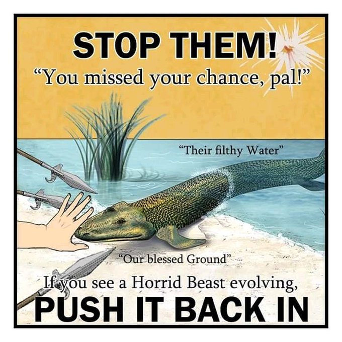 thorax stormcrow tweet media