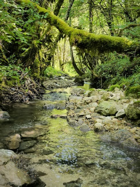 น้องถุงเงินถุงทอง มาปังคั้บ🎁 tweet media