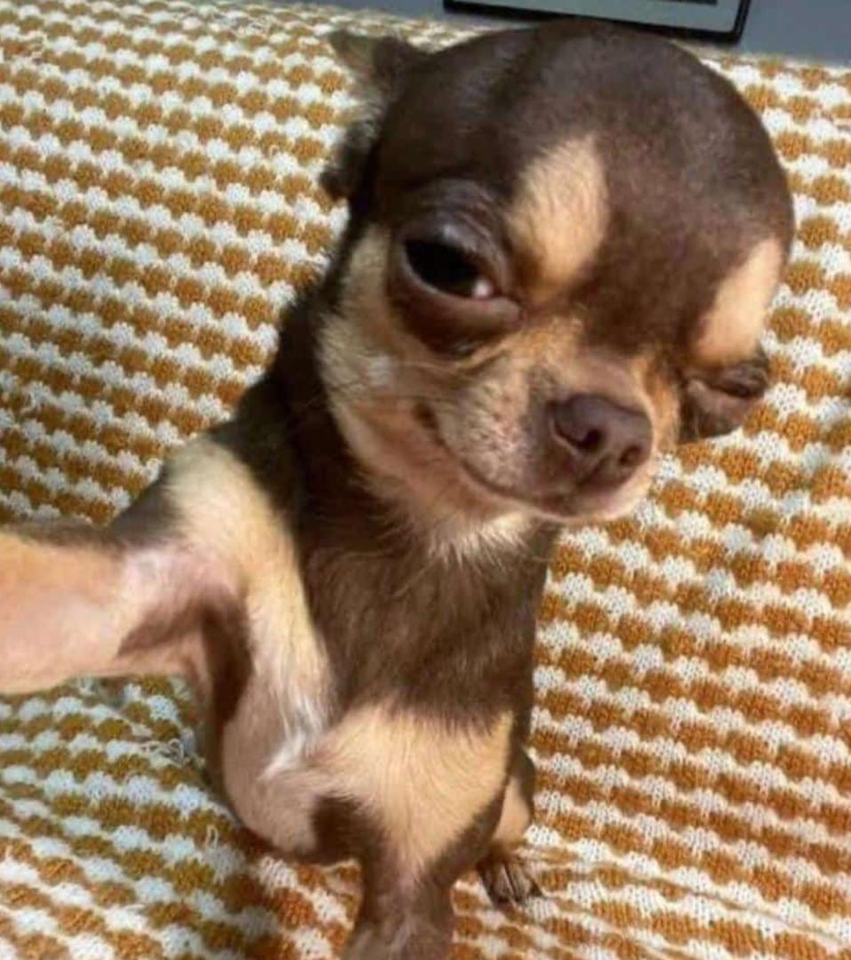 Ray Mond tweet media