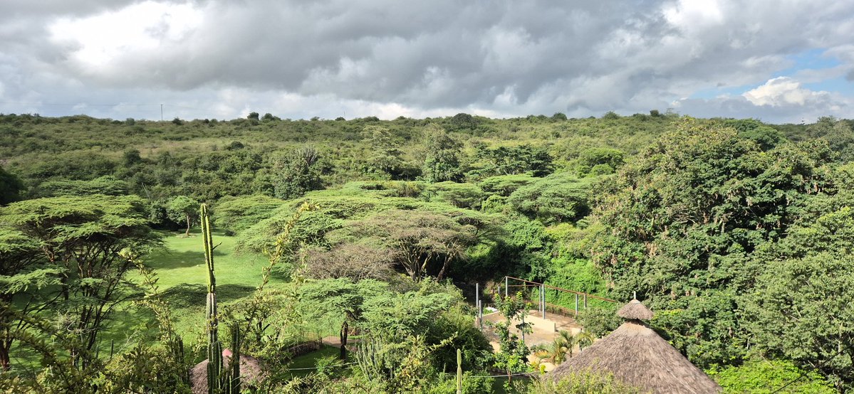 Kelvin Ogola Opere 🇰🇪 tweet media