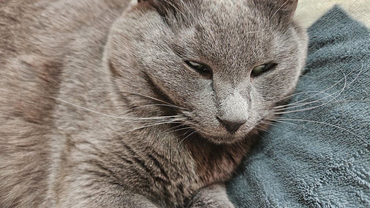 𝓨𝓾𝓻𝓲𝓪 tweet media