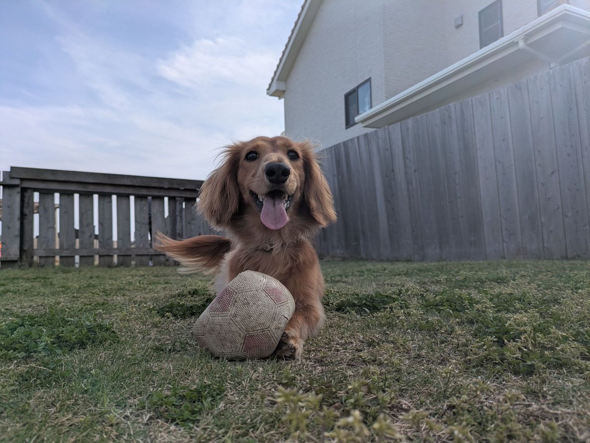 m_i_y_a. tweet media