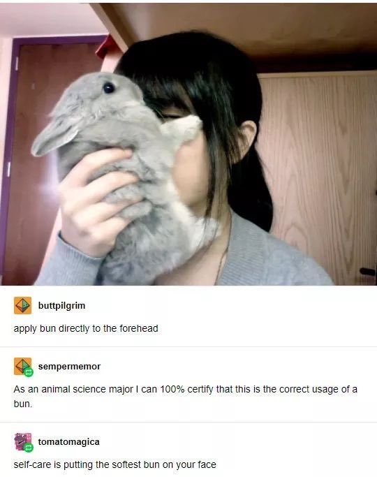 Why you should have a rabbit tweet media