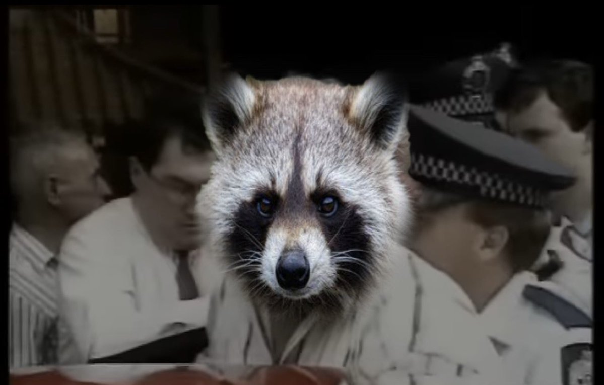 CopeAganda tweet media