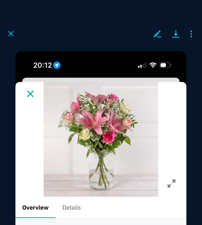 Steve the cat nut tweet media