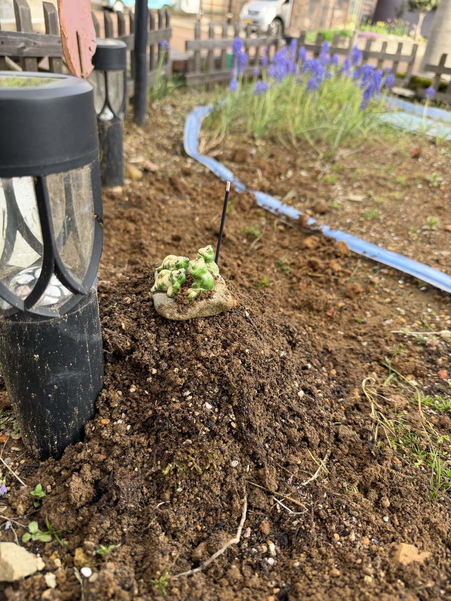 Kindly〜カインドリー〜 tweet media