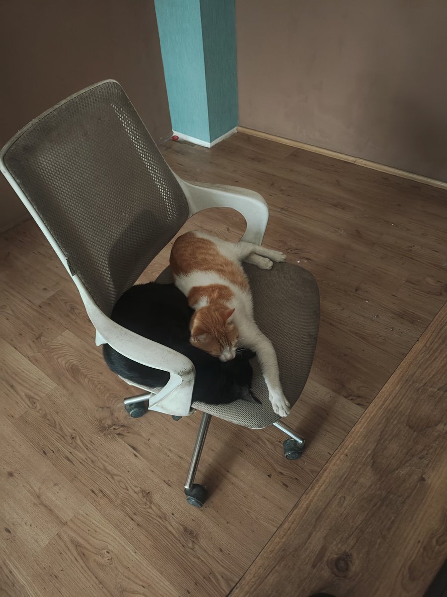 Şükrücan kılıçlı tweet media