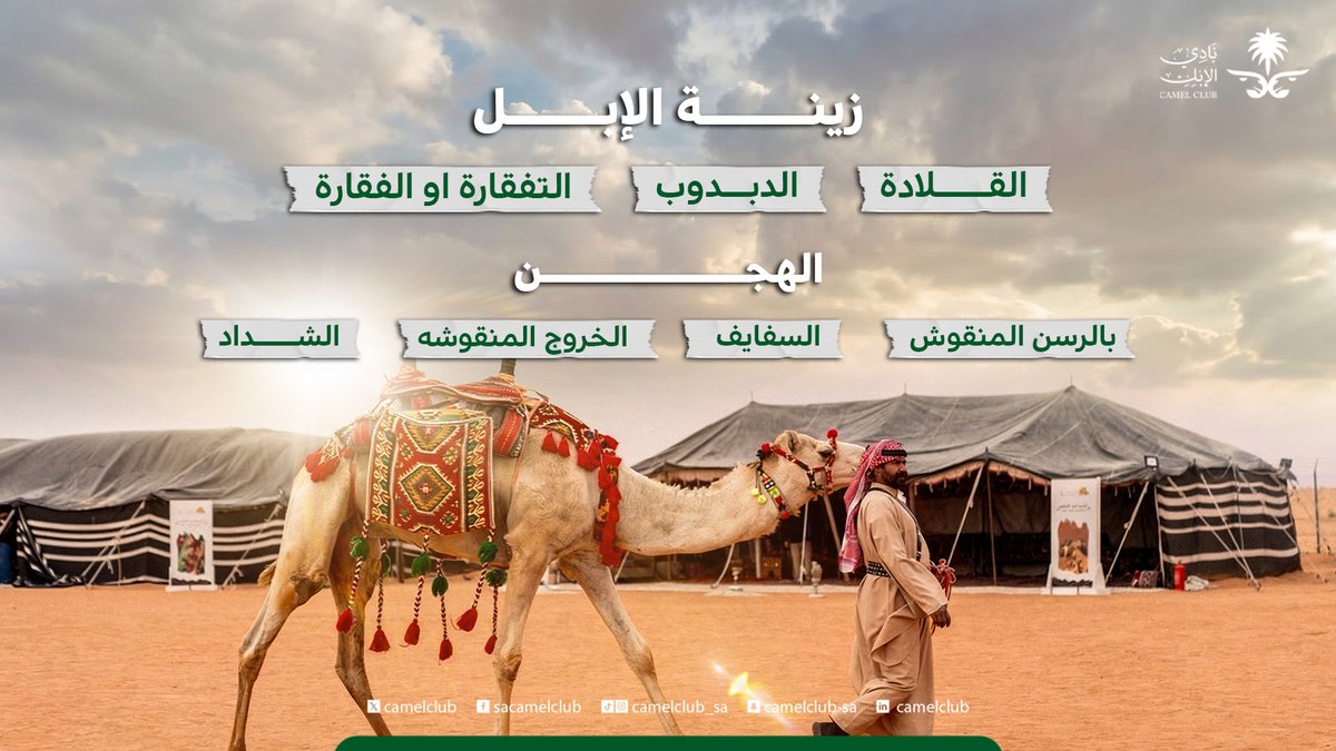 نادي الإبل tweet media