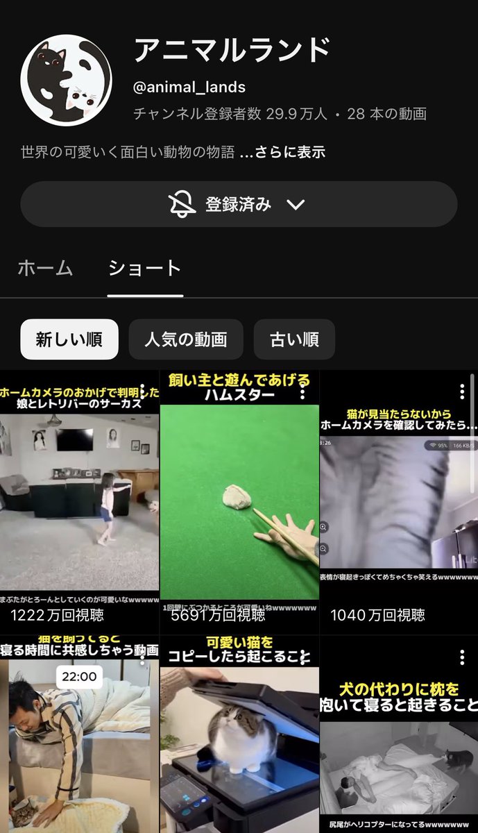 YTS戦士 tweet media