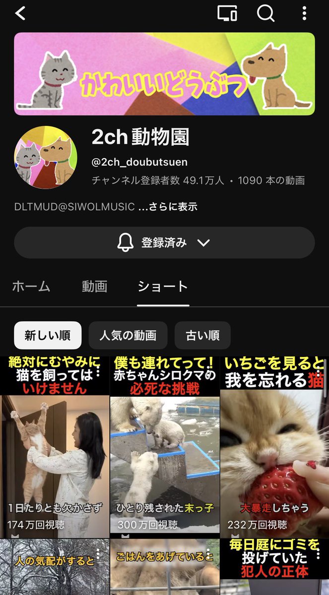 YTS戦士 tweet media