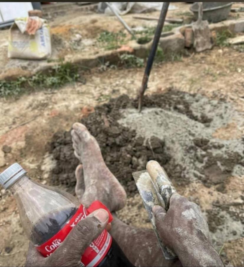 Soft Thoughts tweet media