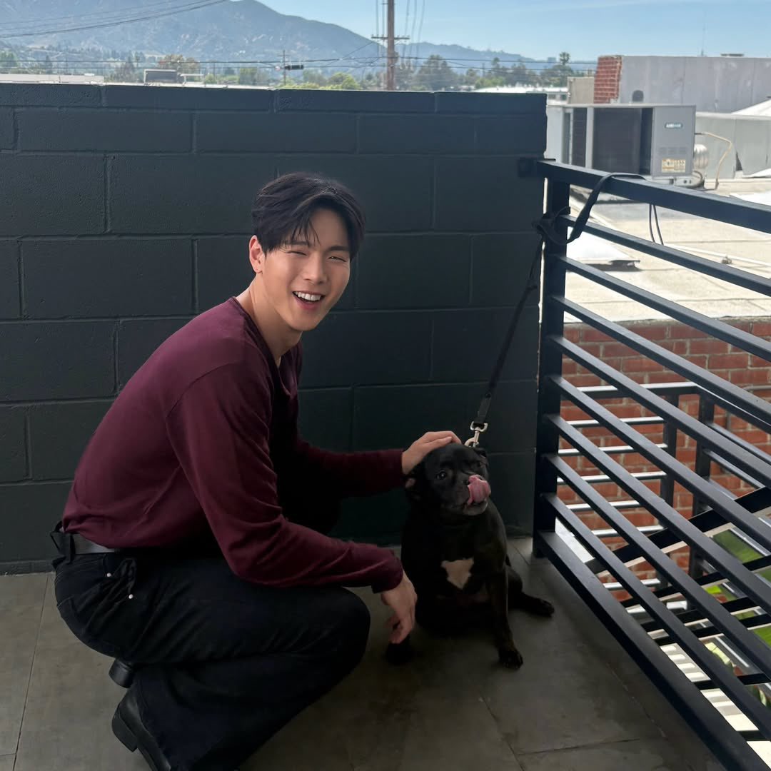 veve :): tweet media