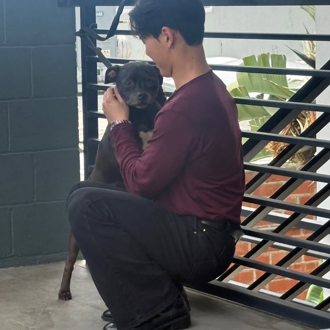 veve :): tweet media