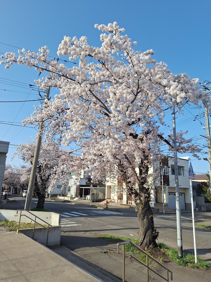 てつろ～@隼&R1 tweet media