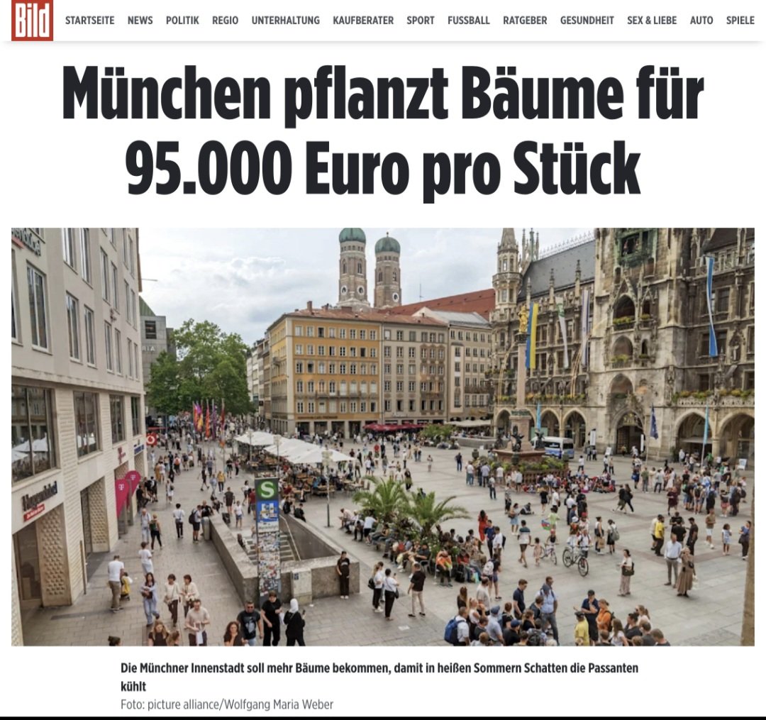 Der Mutbürger 🇩🇪🕊 tweet media