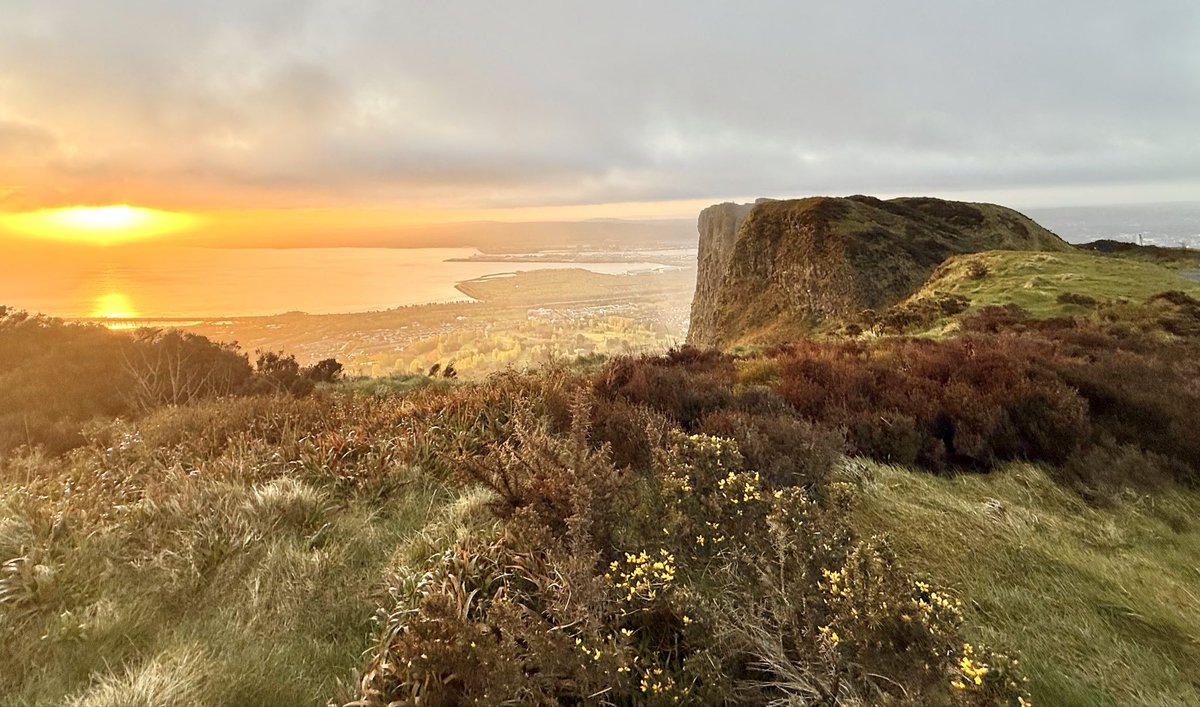 Camlake Canvas tweet media